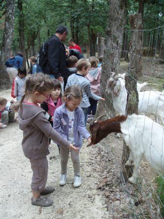 ANIMAPARK 2012