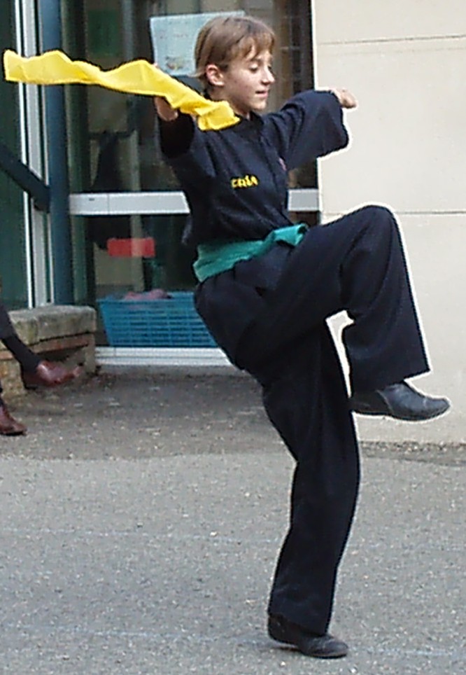 Viet Vo Daô